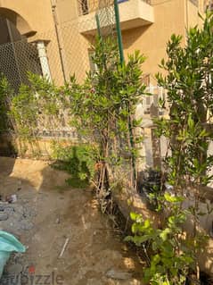 apartment for rent in compound elkhmayle grounf with garden