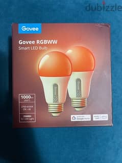 Govee Smart Bulb