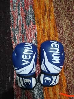 boxing gloves Venum قلفز ملاكمه