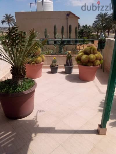 مجموعه من الصبارات النادره للبيع لدواعى السفر