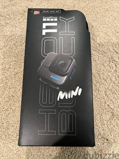 go pro hero 11 mini