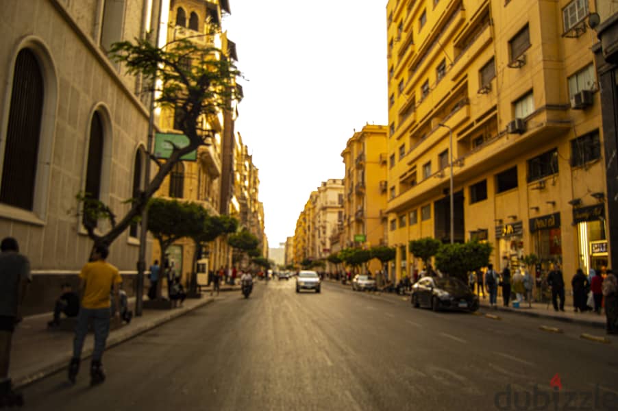 Assistant and supporter for foreigners - residing in Egypt - Cairo 8