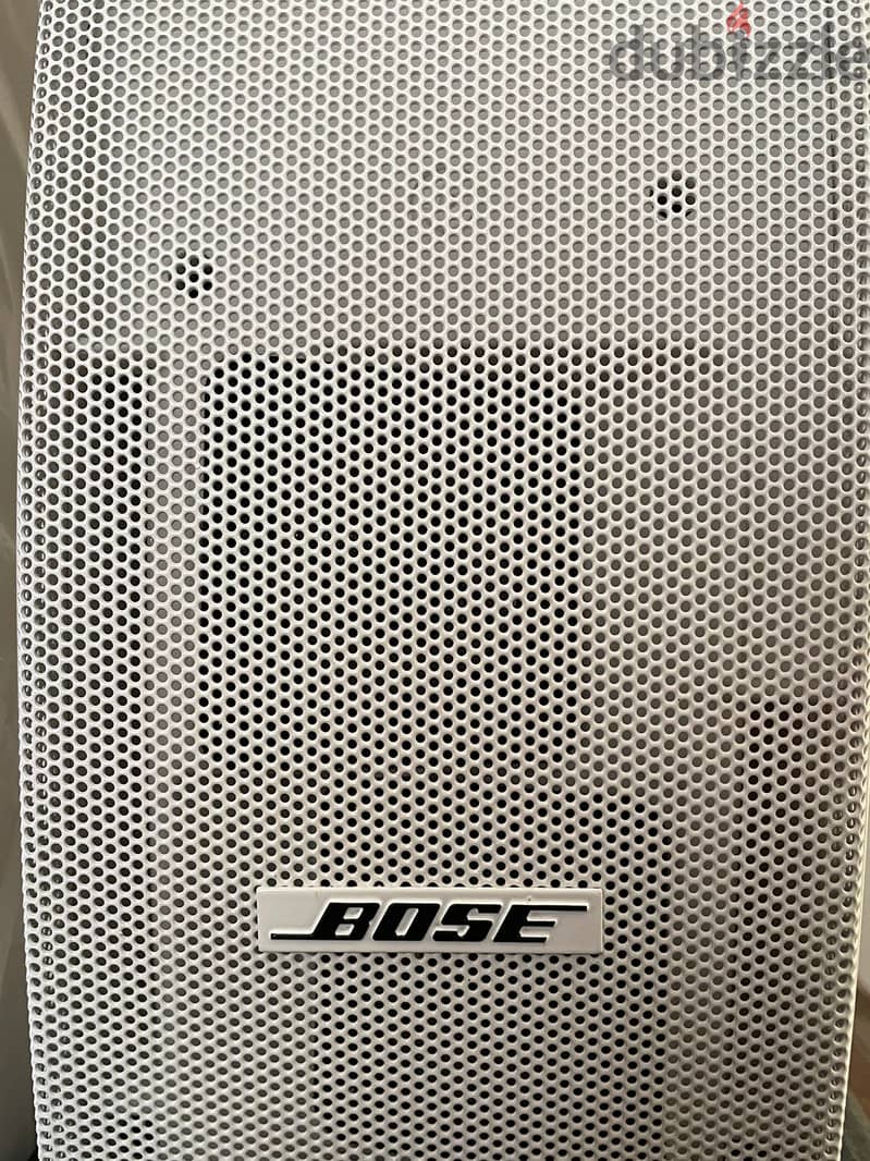 Bose 251 Environmental Speakers 2