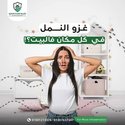 شركة مكافحة حشرات في القاهرة | إبادة صراصير ونمل وضمان