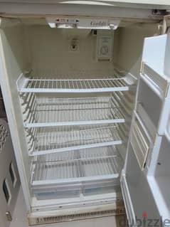 goldi fridge