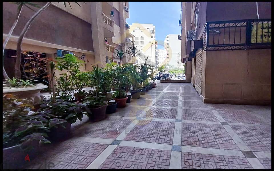 Shop for sale 20 m Smouha (Branched from 50 St. ) 1