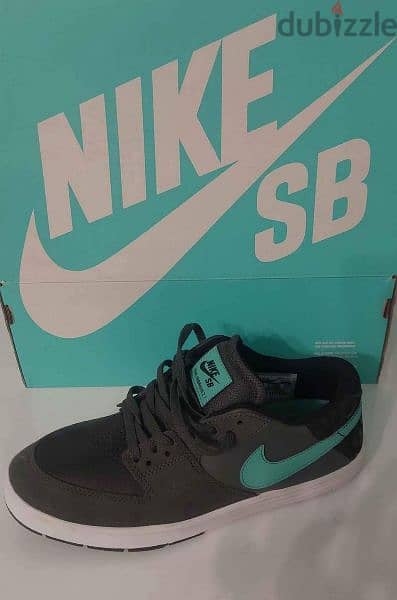 Nike SB shoes