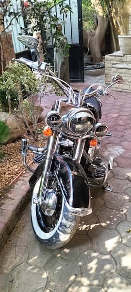 Harley Davidson Deluxe FLSTN 2