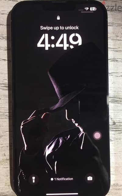 iPhone 13 pro max