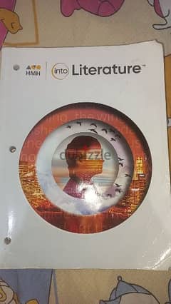 into literature book