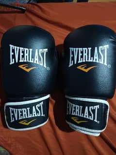 Everlast boxing gloves