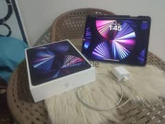 ipad pro 11 inch (2021) m1 chip mint condition
