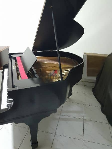 بيانو كودا للبيع 8