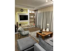 Aprt in Lake View Residence 1st use + furnished  .