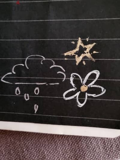 Roco Black Paper Notebook + Gelly Roll دفترين ورق أسود+أقلام فضة وذهبي