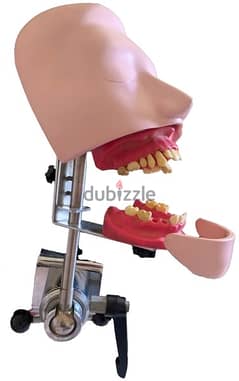 dummy head ( dental ) with extra 4 casts 0