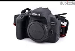 Canon d800 0
