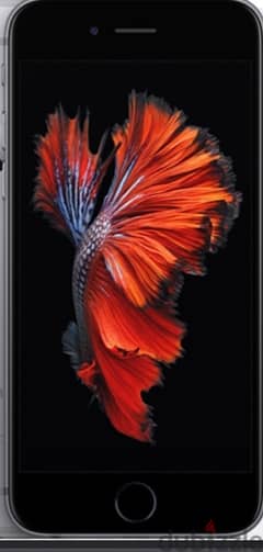 iPhone 6 s silver