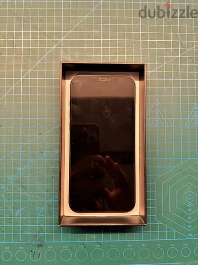 iPhone 12 Pro Max - 256GB - USED