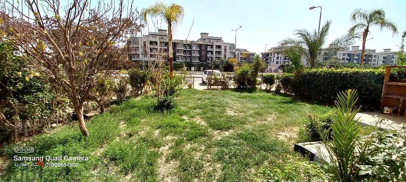 شقة للايجار بالشيخ زايد عمارات المستقبل دور ارضي بحديقة على الشارع 10