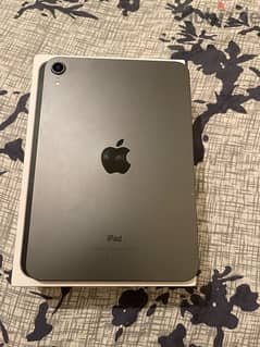 iPad mini  6 0