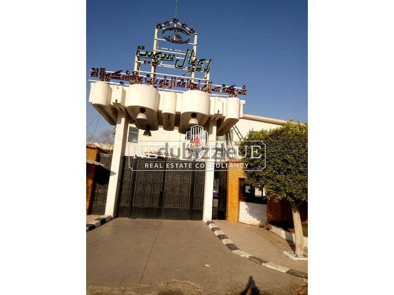 Factory ready to move + under market price 3