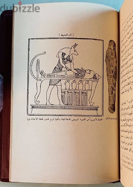 كتاب : الطب المصري القديم 1