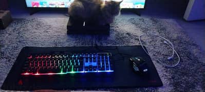 keyboard gaming with rgb lights works perfectly 0