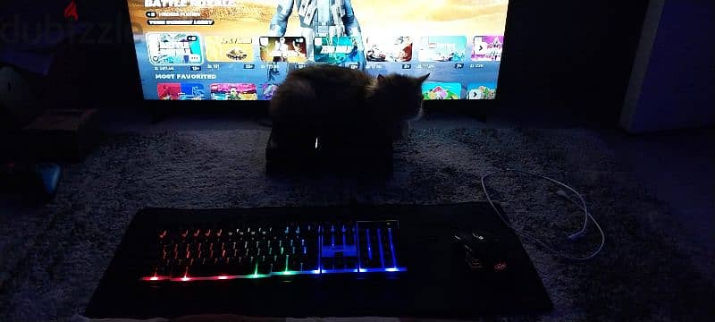 keyboard gaming with rgb lights works perfectly 1