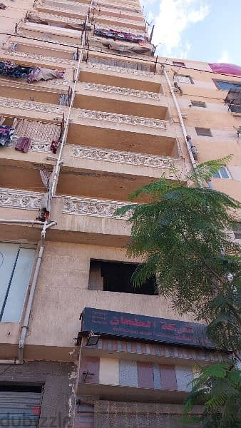 محل بابين علي شارعين  بعد سنترال العوايد قبل مدخل الفلكي مرخص 4