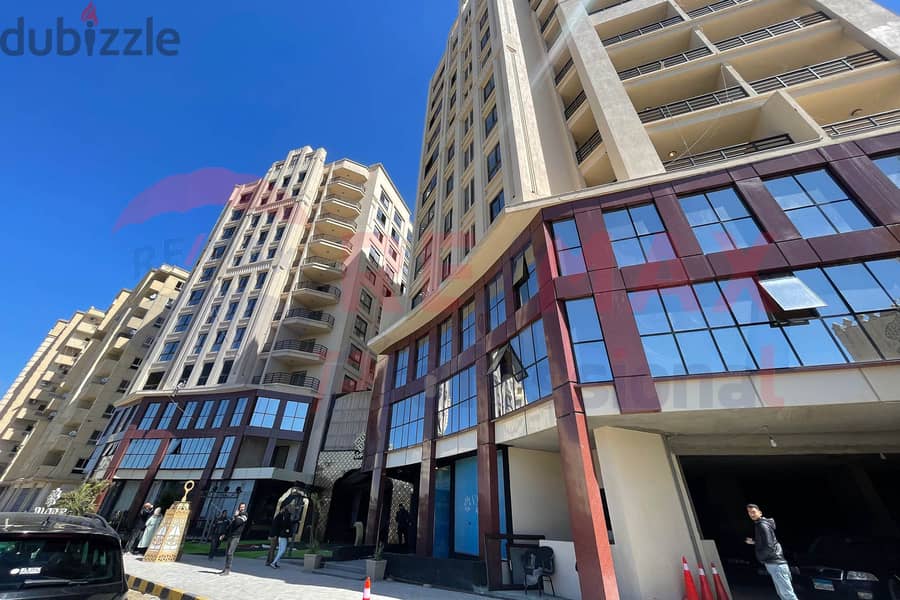 View your apartment in the Middle of Smouha 13