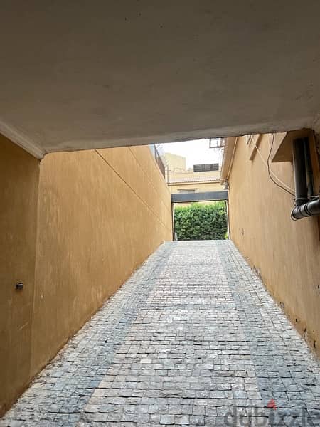 Luxary Sheikh Zayed Mansion - Al Yasmine 11