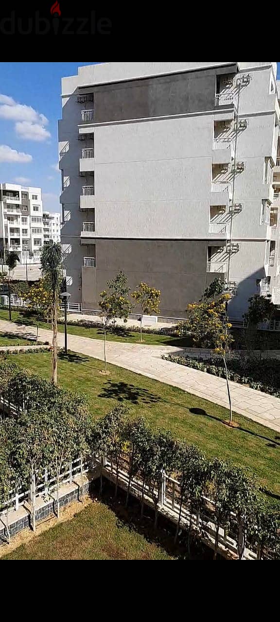 Apartment for rent B10 (Madinaty), on a wide garden, area 116 1