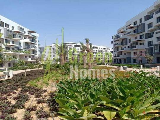apartment for sale in Eastown 3 bed 189 M 11