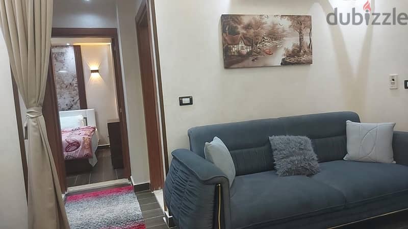 A hotels bran new 2rm furnished flat for rent in Gb12 madinty 11