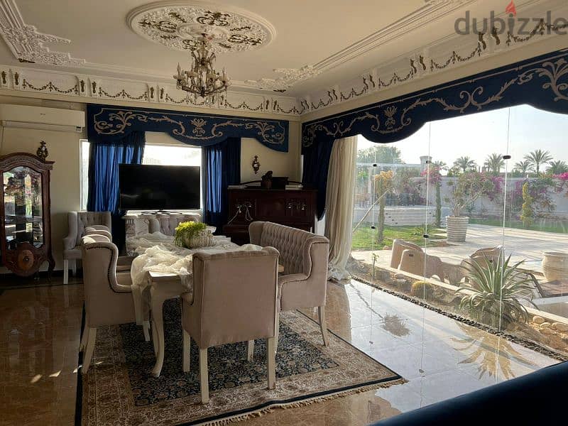 قصر خاص للايجار اليومي خطوات ل الشيخ زايد طريق مصر اسكندريه الصحراوي 16