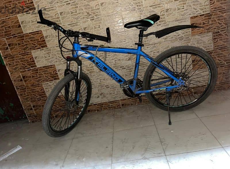 mountain bike ( Italiano) 0