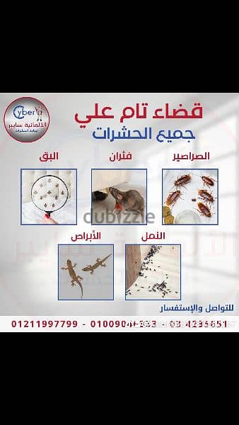 مكافحه جميع انواع الحشرات البق والصراصير والنمل والبراغيث والسوس و
