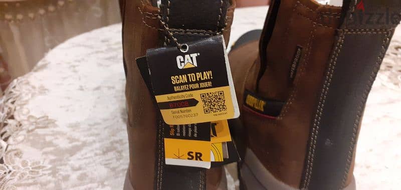 cat safety shoes 2