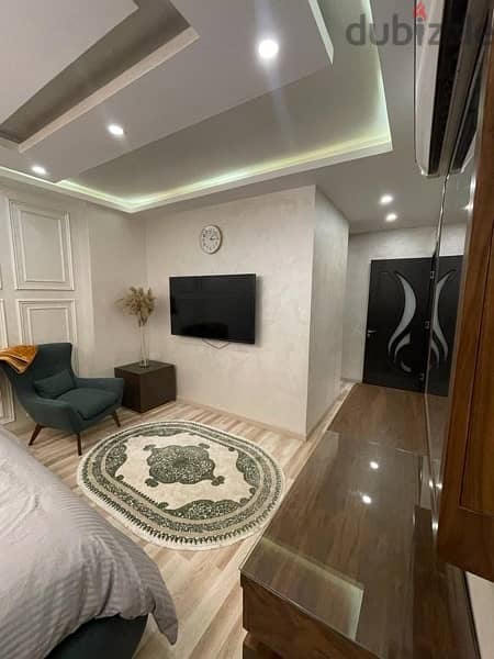 luxurious apartment for rent 2
