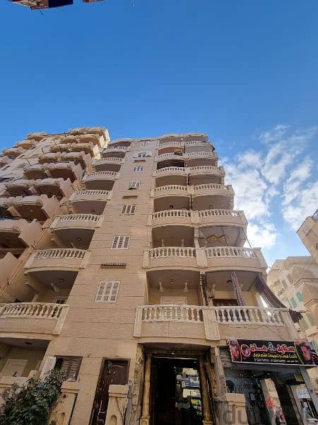 امتلك شقة على شارع2موقع ممتاز جدا يصلح للاستثمار السياحي في الإسكندرية 10