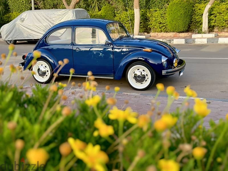 Classic Volkswagen Beetle فولكس بيتلز كلاسيك 5