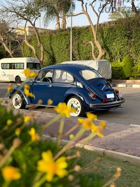 Classic Volkswagen Beetle فولكس بيتلز كلاسيك 8