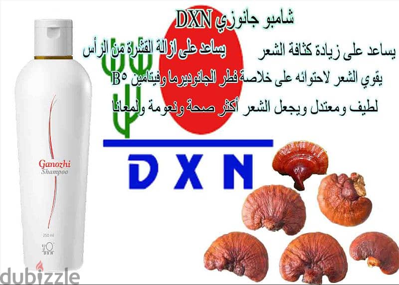 شامبو الجانوزي DXN 1