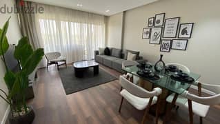 Furnished Apartment For Rent in Lake View       . 0