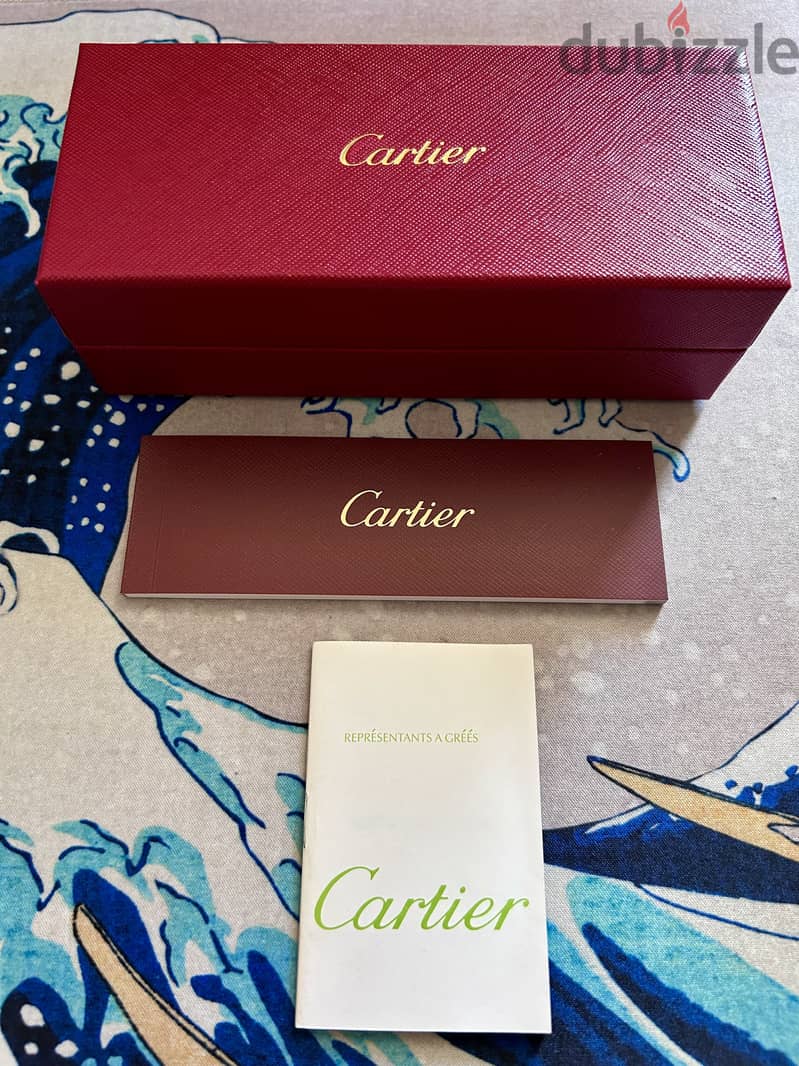 Cartier CT00920 Sunglasses 9