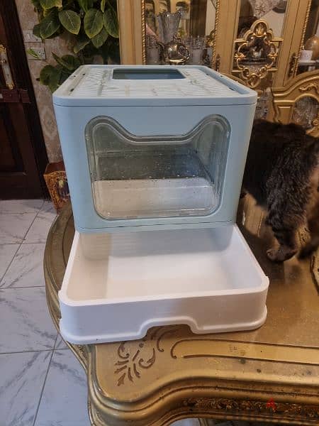 litter box for big cats 4
