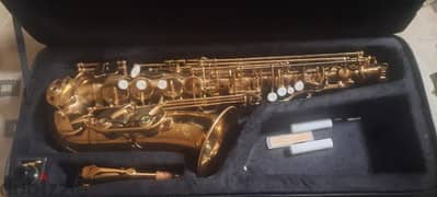 Suzuki Alto Saxophone 0