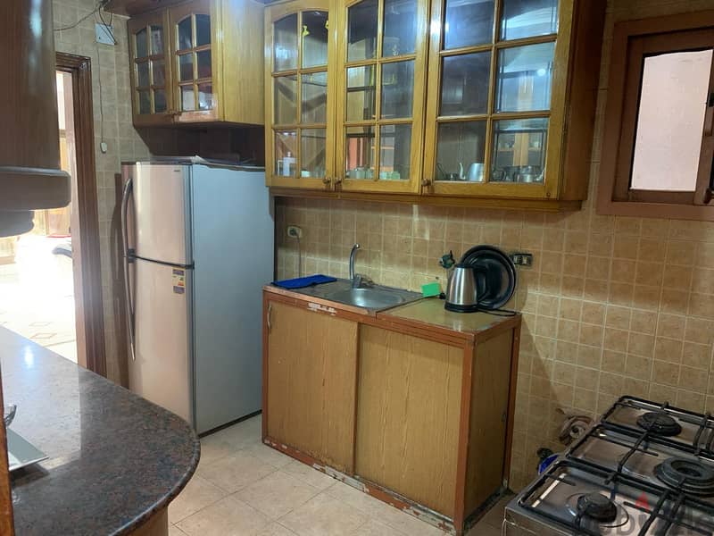 Furnished 3-room apartment on the Nile for rent 10