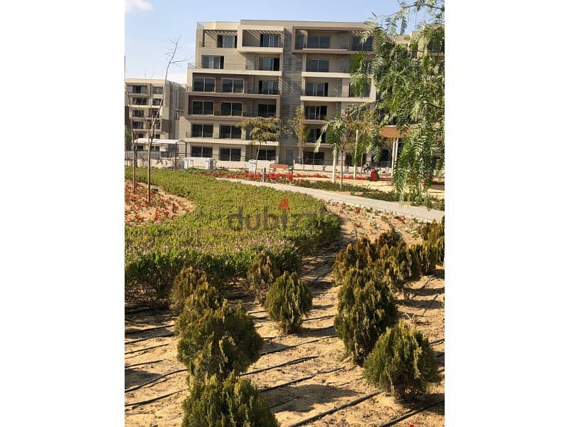 At The Lowest Price In The Market Apartment 193m For Sale prime location ready to move In Palm Hills New Cairo 7